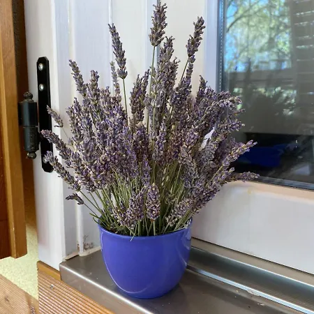 Kamp alanı Piccolo *