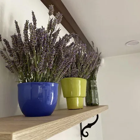 Piccolo Kamp alanı Banjole