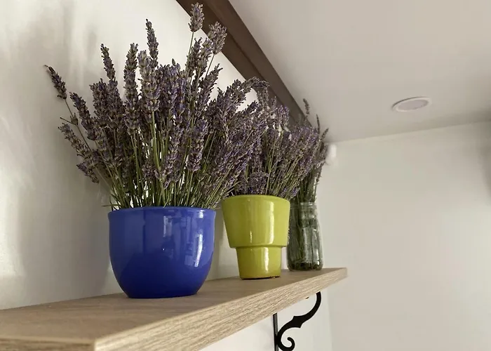 Piccolo Kamp Banjole